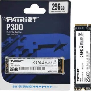 PATRIOT P300 DISCO DURO SSD 256GB M.2 PCIE GEN 3 X4