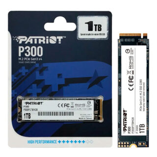 PATRIOT BURST P300 DISCO DURO SSD 1 TB M.2 PCIE GEN3 X4